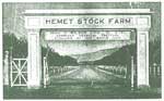 Hemet Stock Farm