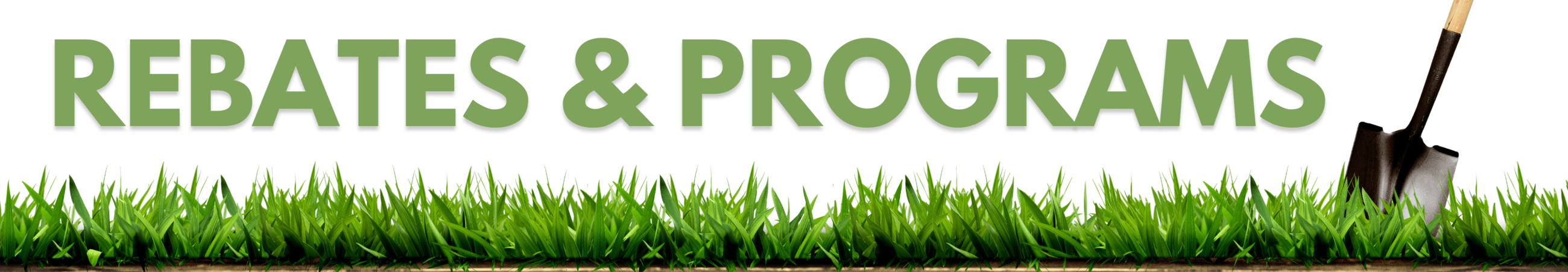 Cash For Grass Header (1)