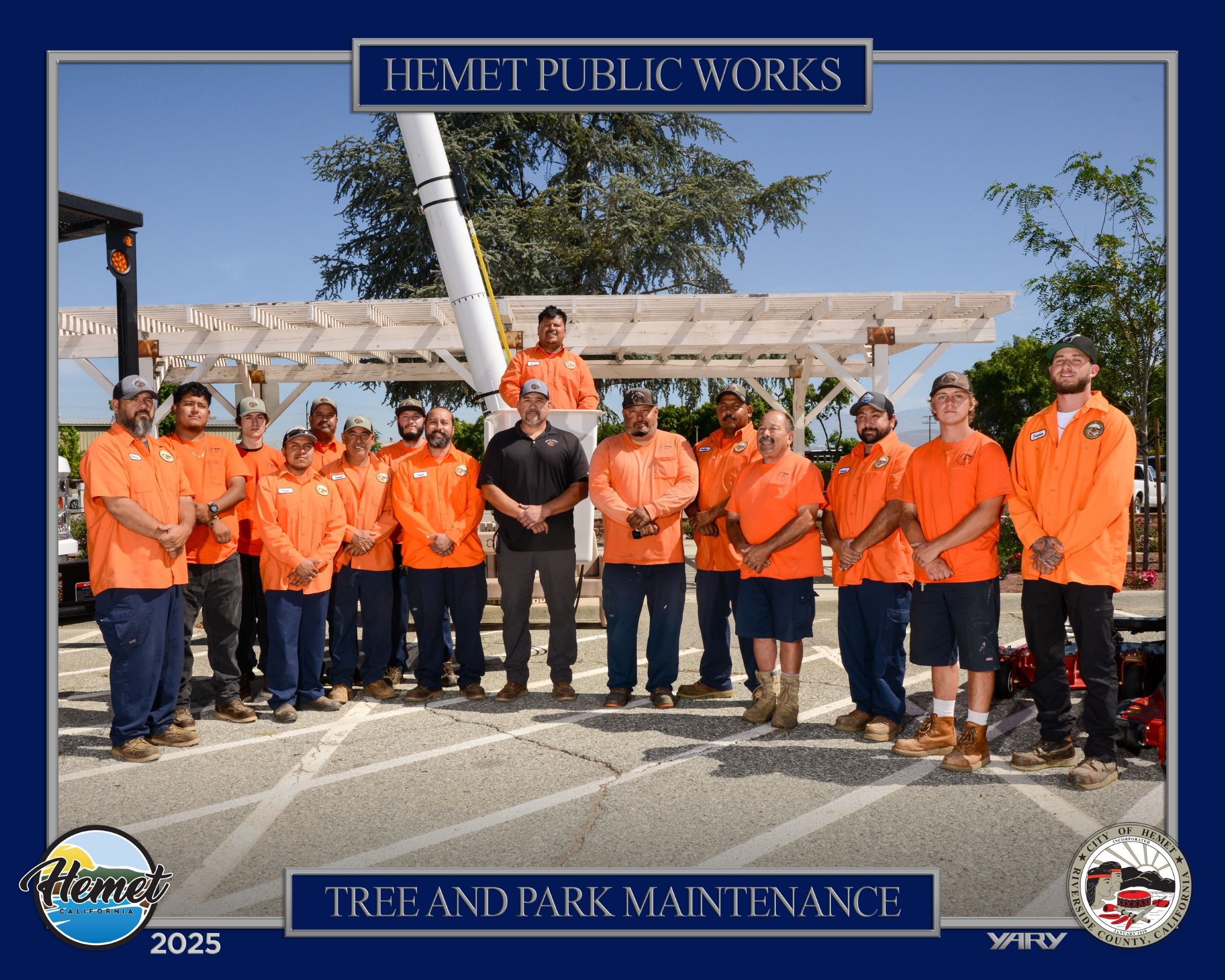 Tree and Park Maintenance without Sunglasses
