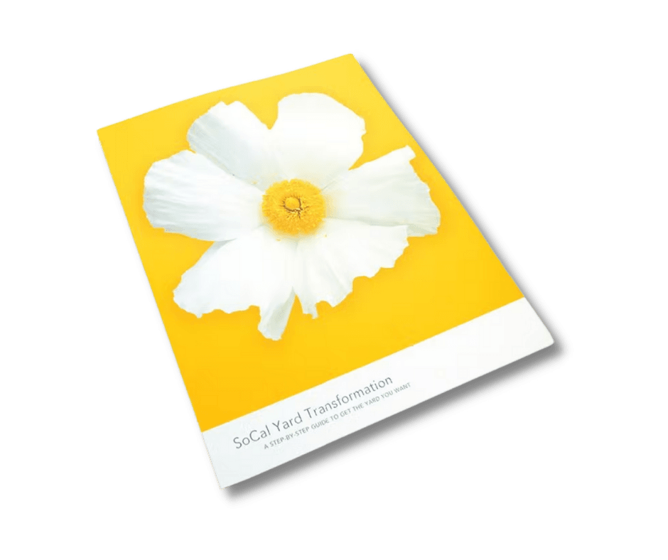 SoCal Yard Transformation Guide